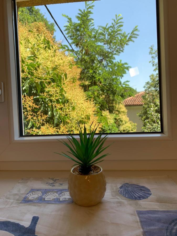 פיראן Apartment Studio Salvetti מראה חיצוני תמונה
